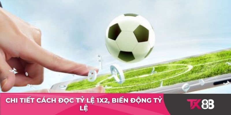 Chi tiết cách đọc tỷ lệ 1X2, biến động tỷ lệ
